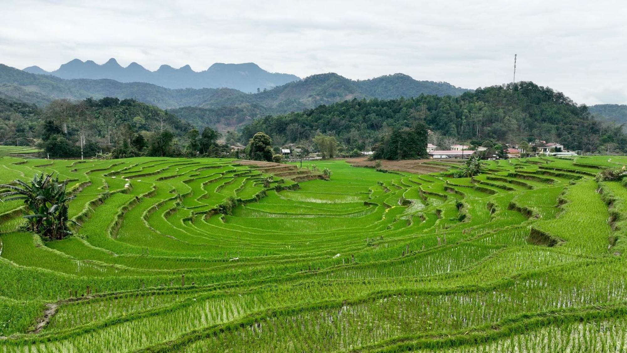 Апартаменты Thavill Retreat Hagiang Хазянг Экстерьер фото