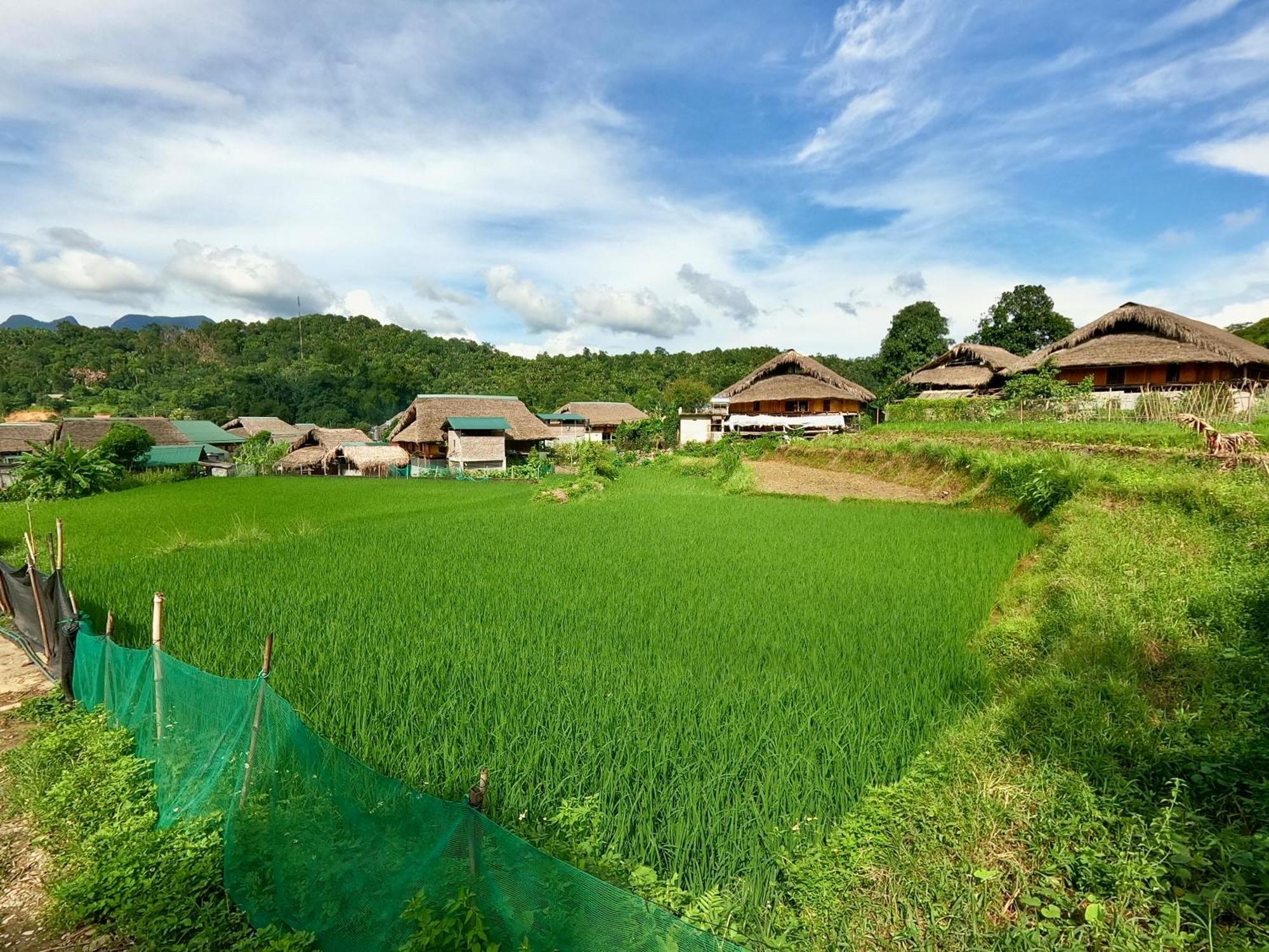 Апартаменты Thavill Retreat Hagiang Хазянг Экстерьер фото