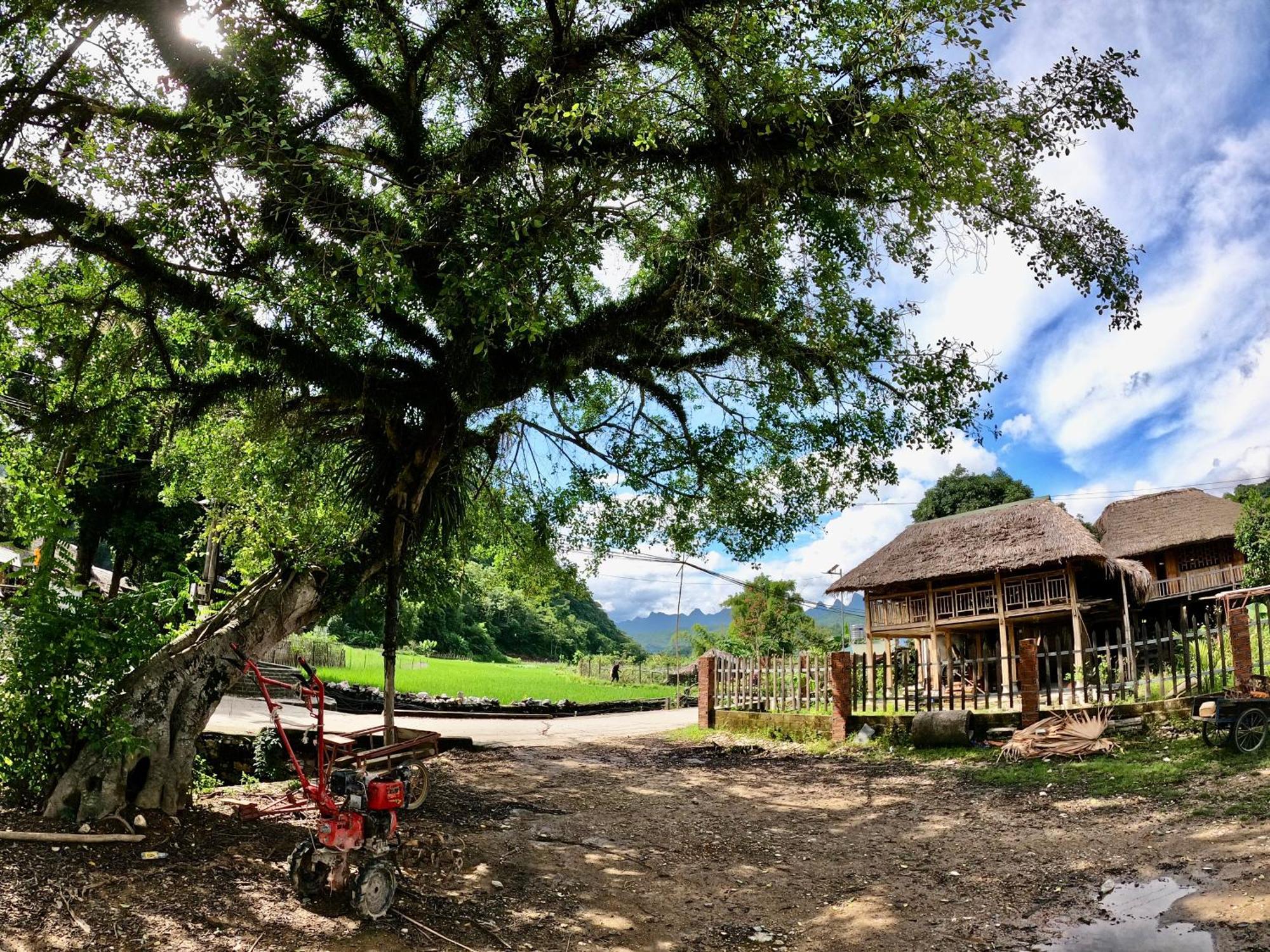 Апартаменты Thavill Retreat Hagiang Хазянг Экстерьер фото